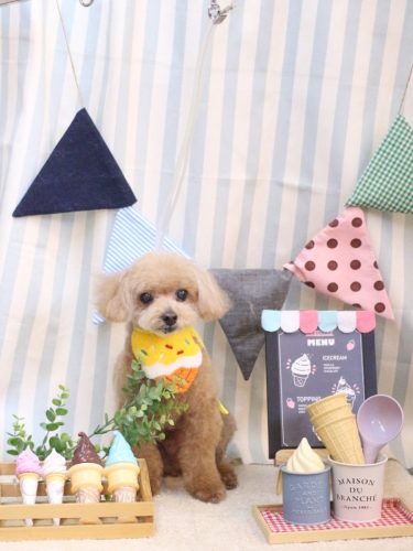 20250502マロンくん